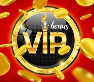VIP program